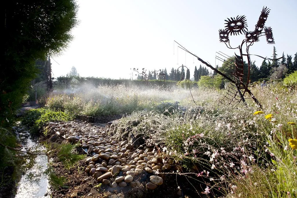 Bed & Breakfast Mas Des Figues: Provençal Farmhouse with Pool and Organic Cuisine Saint-Remy-de-Provence