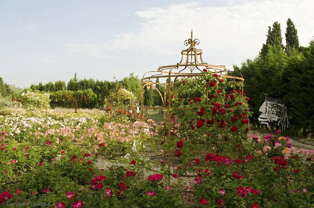 Mas Des Figues: Provençal Farmhouse with Pool and Organic Cuisine Saint-Remy-de-Provence Bed & Breakfast
