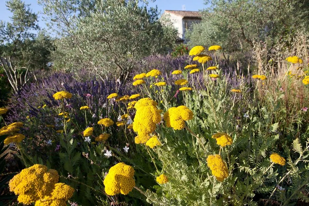 **** Bed & Breakfast Mas Des Figues: Provençal Farmhouse with Pool and Organic Cuisine Saint-Remy-de-Provence France