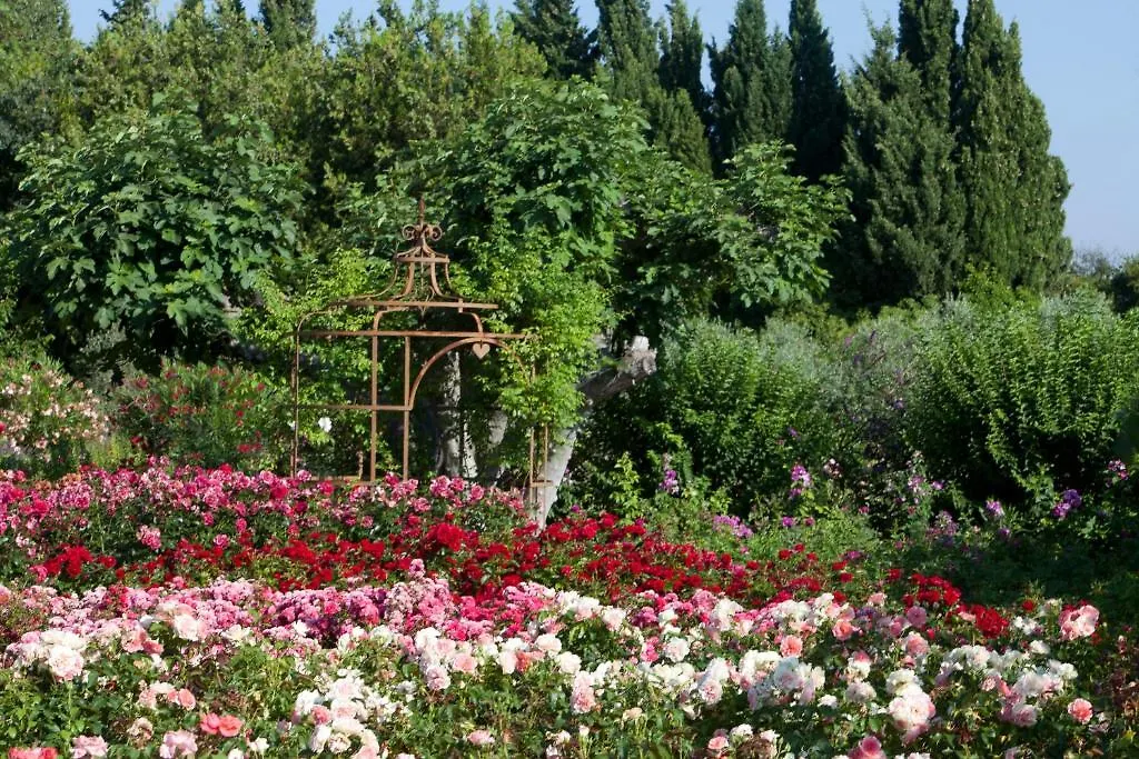 Bed & Breakfast Mas Des Figues: Provençal Farmhouse with Pool and Organic Cuisine Saint-Remy-de-Provence
