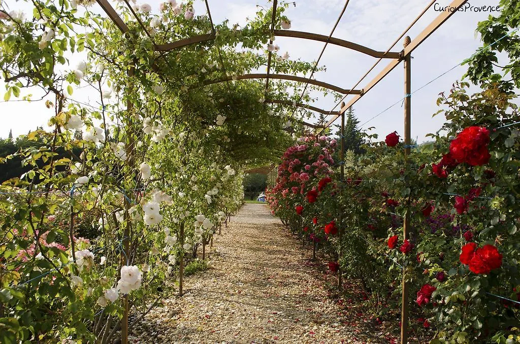**** Frühstückspension Mas Des Figues - Mas Xviiie - Du 01 Mai Au 30 Septembre 2025 - Piscine Roseraie Tres Calme - Alpilles Saint Remy De Provence - Cuisine Maison Brunch Paysan Mediterraneen - Certifie Biologique Frbio10 Potager Huile D'Olive Bio Biodiversite Agritourism Frankreich