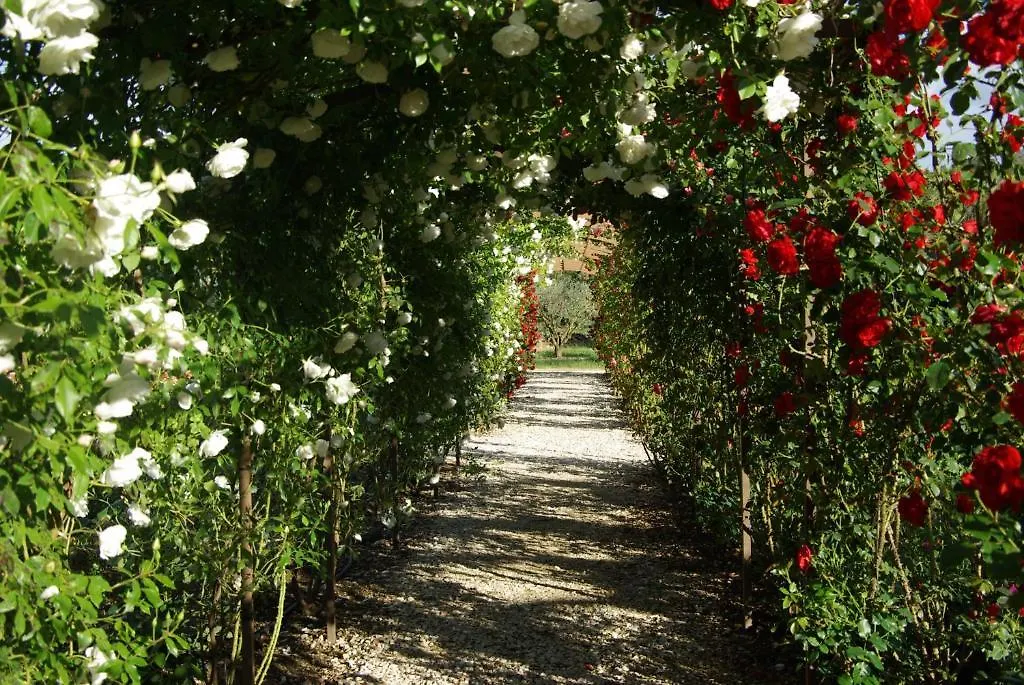 Mas Des Figues - Mas Xviiie - Du 01 Mai Au 30 Septembre 2025 - Piscine Roseraie Tres Calme - Alpilles Saint Remy De Provence - Cuisine Maison Brunch Paysan Mediterraneen - Certifie Biologique Frbio10 Potager Huile D'Olive Bio Biodiversite Agritourism 4*, Saint-Rémy-de-Provence Frankreich
