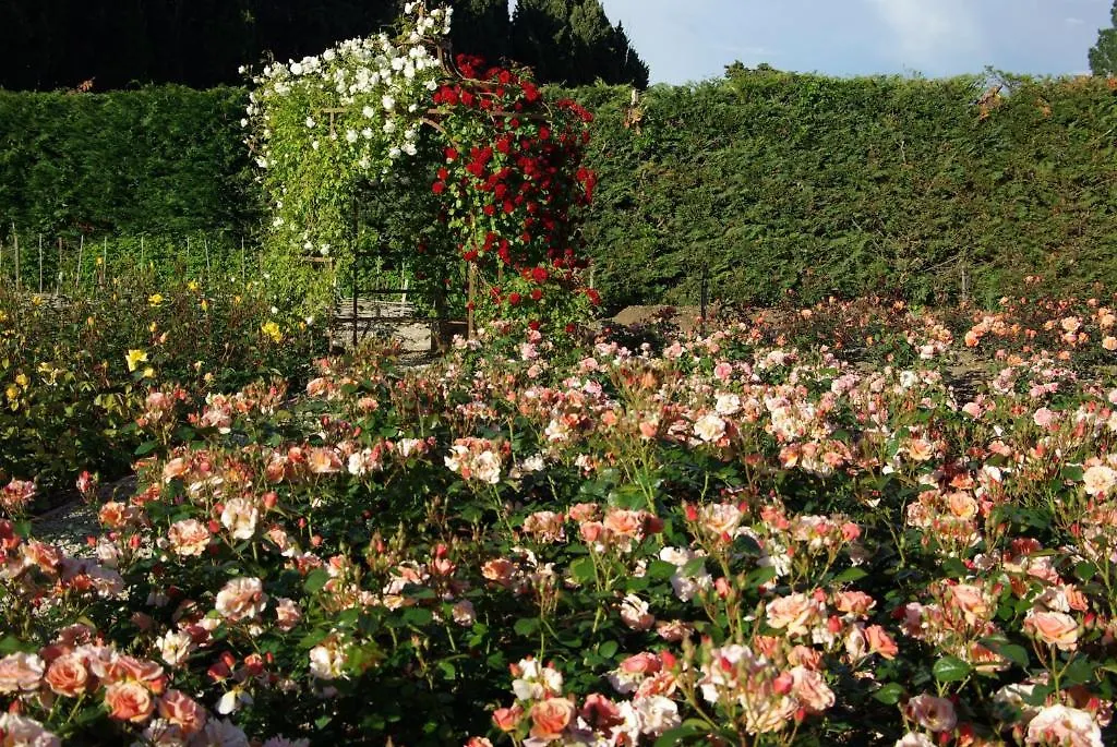 Mas Des Figues: Provençal Farmhouse with Pool and Organic Cuisine Saint-Remy-de-Provence Bed & Breakfast