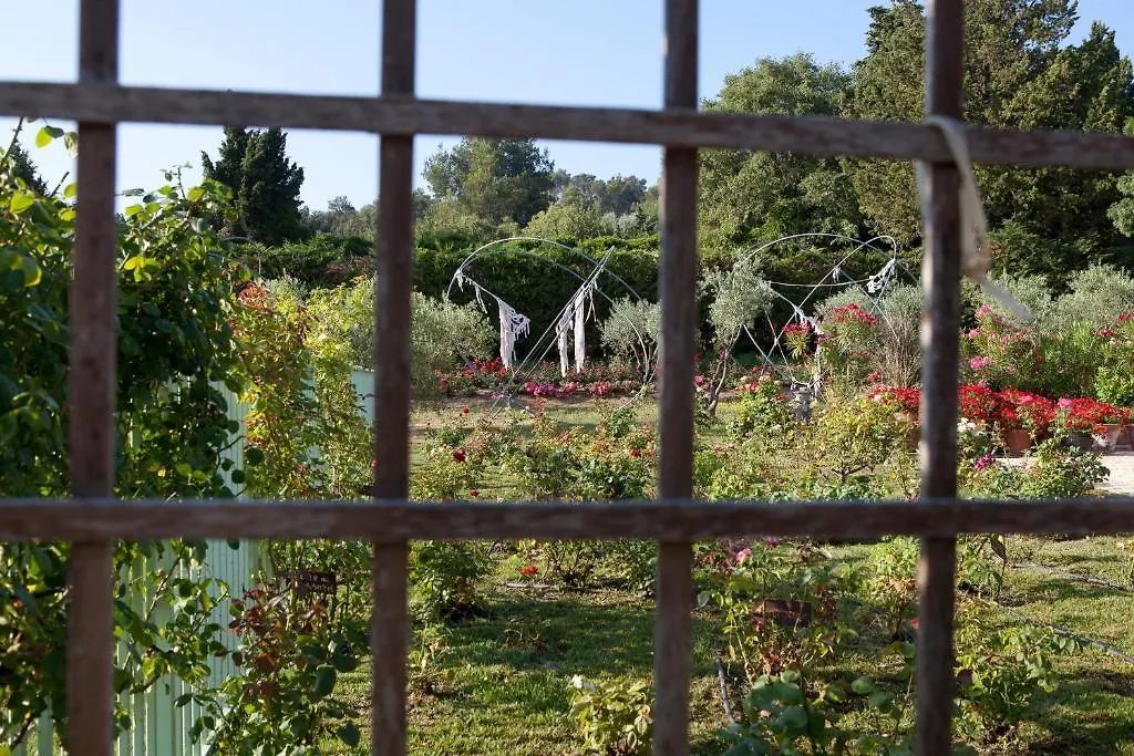 Mas Des Figues: Provençal Farmhouse with Pool and Organic Cuisine Saint-Remy-de-Provence