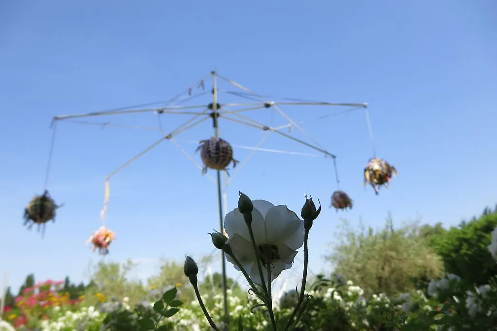 Mas Des Figues: Provençal Farmhouse with Pool and Organic Cuisine Saint-Remy-de-Provence Bed & Breakfast